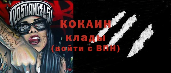 гашик Кулебаки