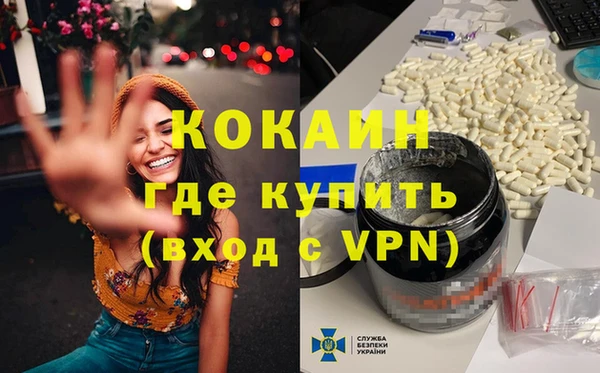 гашик Кулебаки