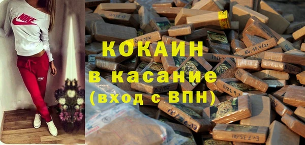 гашик Кулебаки