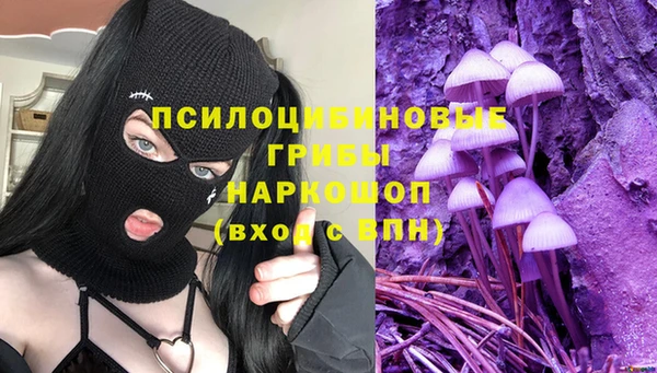 гашик Кулебаки