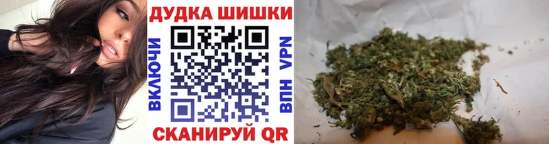 МАРИХУАНА OG Kush  купить   Сураж 